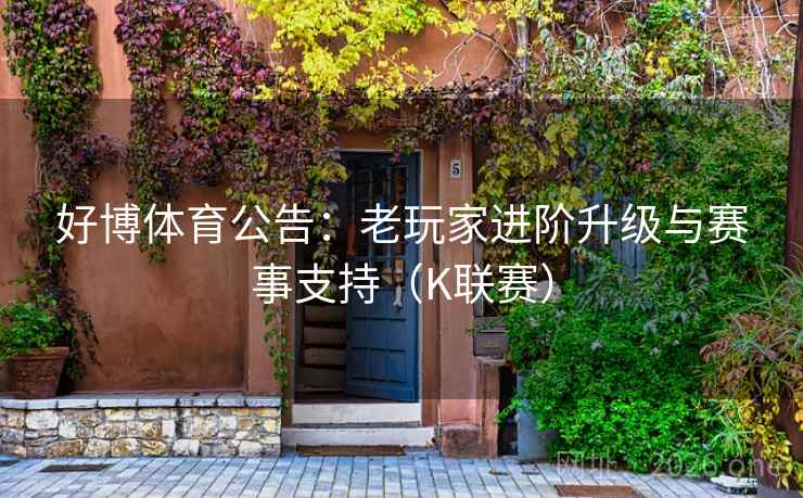 好博体育公告:老玩家进阶升级与赛事支持(K联赛) 第2张 好博体育公告:老玩家进阶升级与赛事支持(K联赛) 第2张