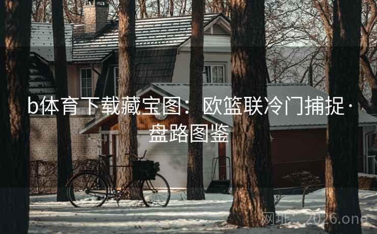 b体育下载藏宝图:欧篮联冷门捕捉·盘路图鉴 第2张 b体育下载藏宝图:欧篮联冷门捕捉·盘路图鉴 第2张