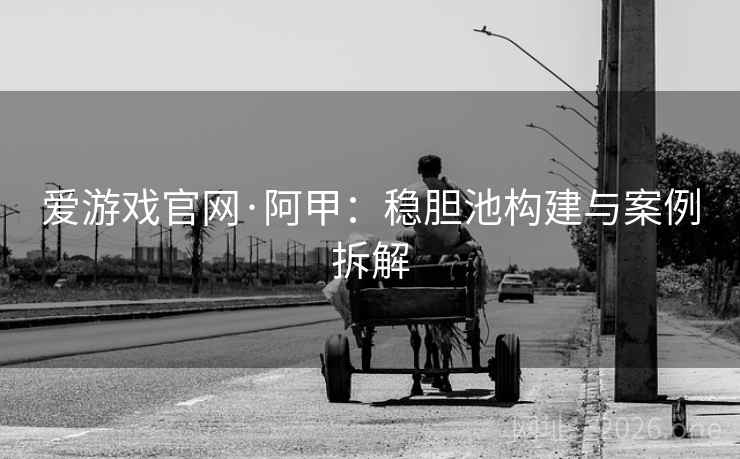 爱游戏官网·阿甲：稳胆池构建与案例拆解