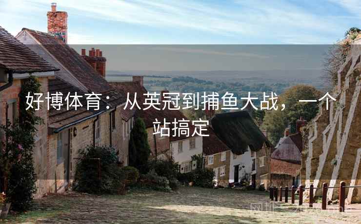 好博体育：从英冠到捕鱼大战，一个站搞定