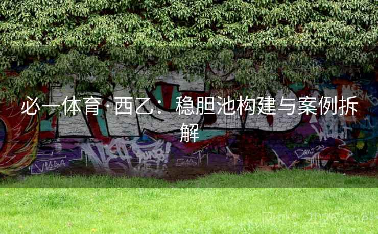 必一体育·西乙：稳胆池构建与案例拆解