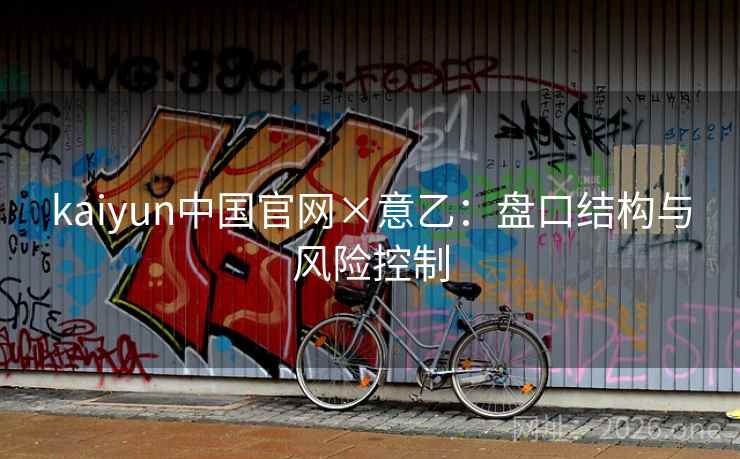 kaiyun中国官网×意乙：盘口结构与风险控制  第2张