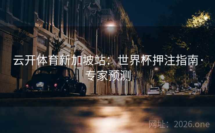 云开体育新加坡站：世界杯押注指南·专家预测  第2张